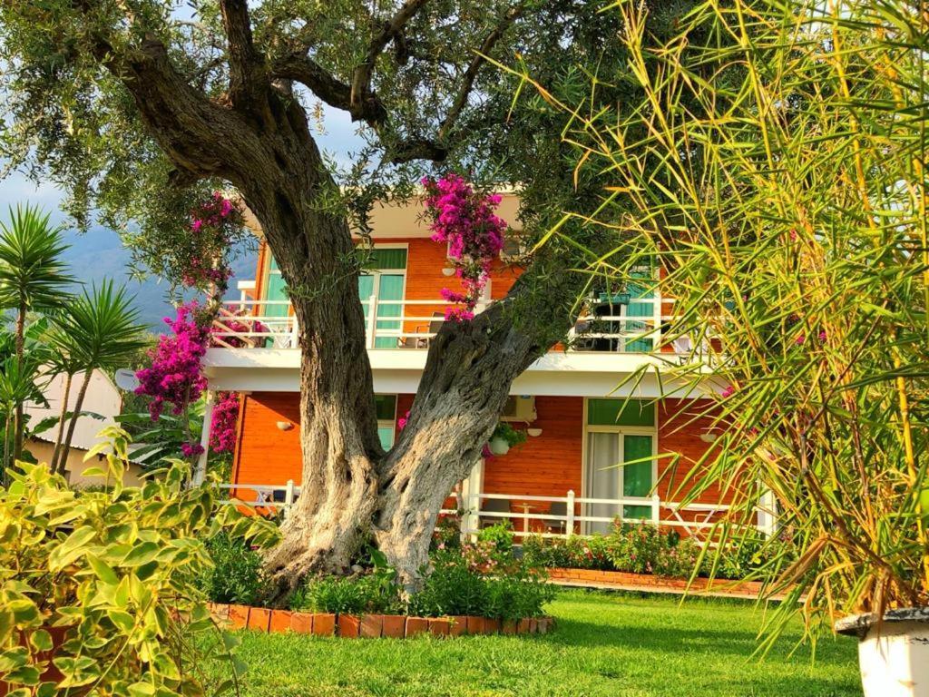 Hotel Jon Dhërmi Extérieur photo